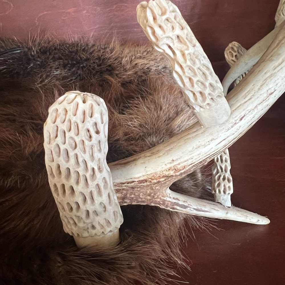 Folk Art Whitetail Shed Antler with hand carved morel mushrooms. - Picture 7 of 11
